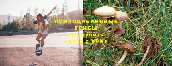прущие крисы Вязьма